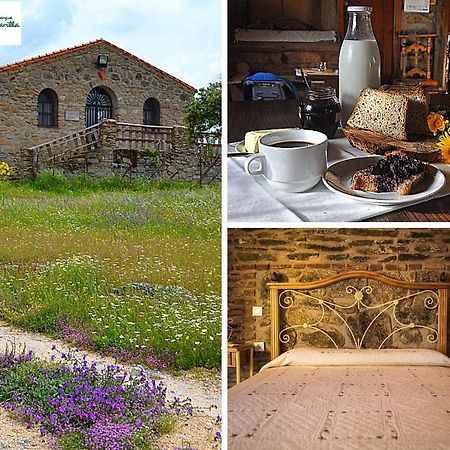 Albergue La Jarilla Plasenzuela 외부 사진