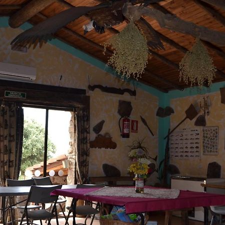Albergue La Jarilla Plasenzuela 외부 사진